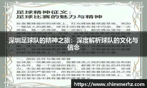 深圳足球队的精神之旅：深度解析球队的文化与信念