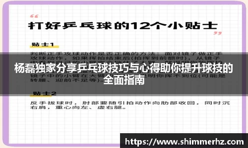 杨磊独家分享乒乓球技巧与心得助你提升球技的全面指南